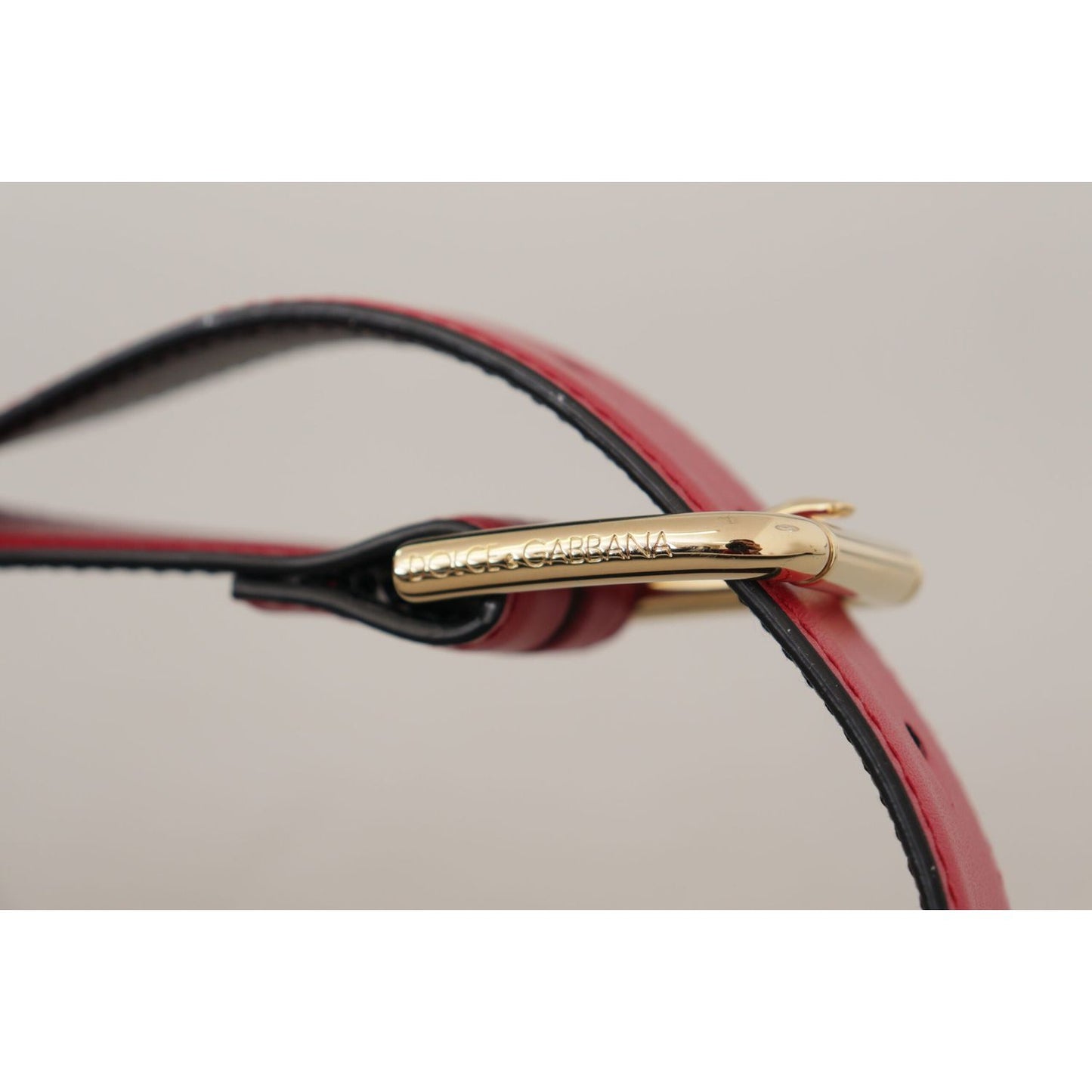 Dolce & Gabbana Red Calf Leather Gold Tone Logo Metal Buckle Belt BEL8469 - 70