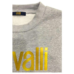 Cavalli Class Gray Polyester Men Sweater