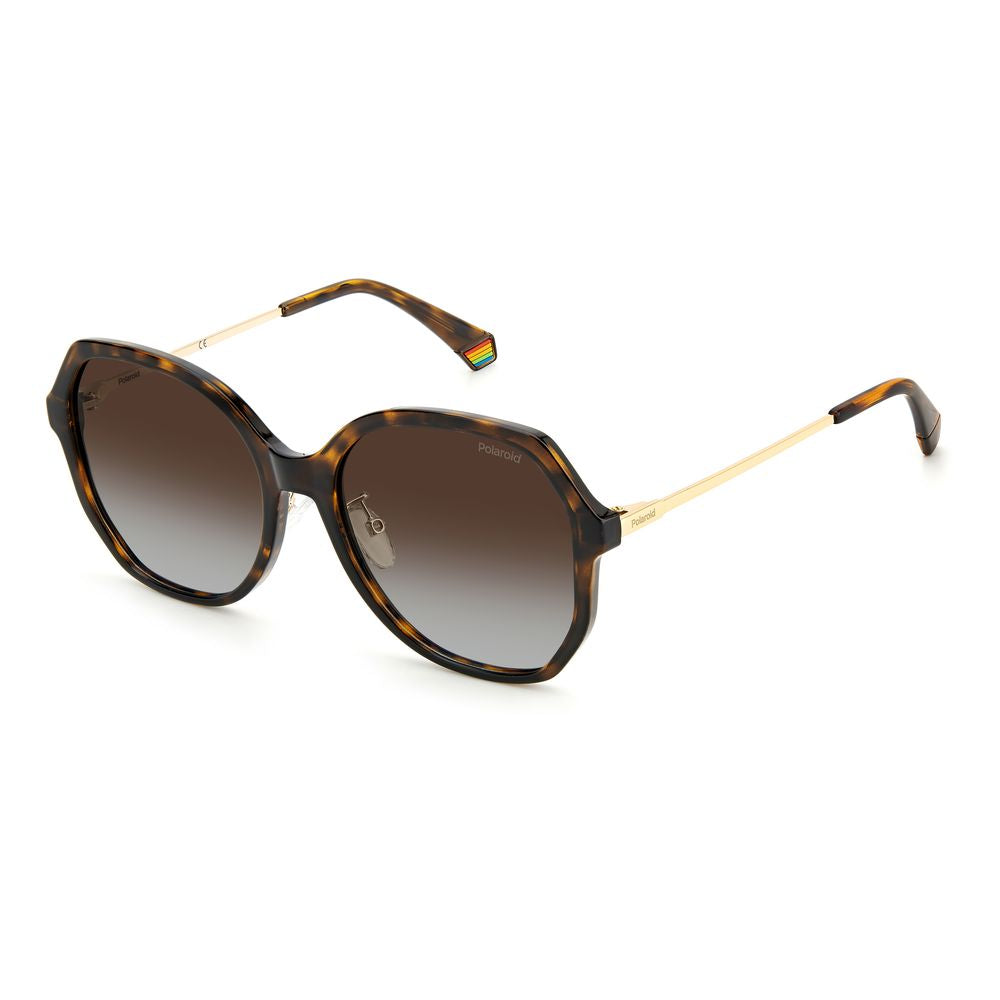 Polaroid Brown Plastic Sunglasses POPLD6177GS086LAAC