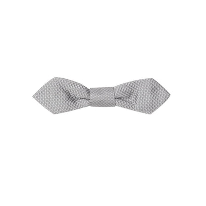 Dolce & Gabbana Gray Silk Bowty