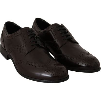Dolce & Gabbana Brown Leather Broques Oxford Wingtip Shoes