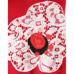 Dolce & Gabbana Red Lace Floral Applique A-line Mini Dress