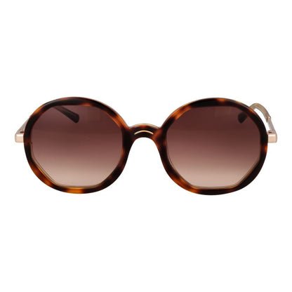 Sandro Brown Acetate Sunglasses with gradient brown lenses and square full-rim frame, offering 100% UVA & UVB protection with blue-filter lenses.