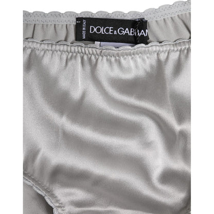 Dolce & Gabbana Gray Silk Stretch Bottom Low Waist Panty Underwear