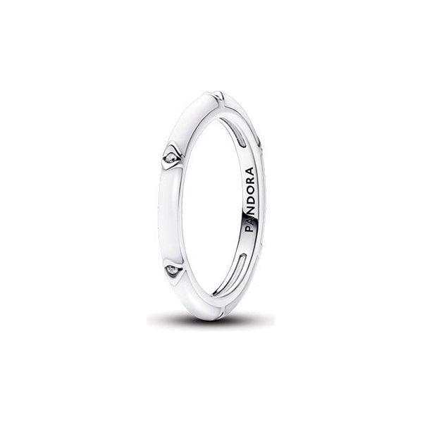 PANDORA JEWELRY Mod. 193089C01-52